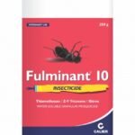 FULMINANT 10