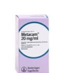 METACAM