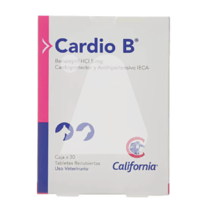 Cardio B