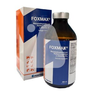 Foxmax