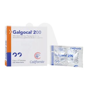 Galgocal