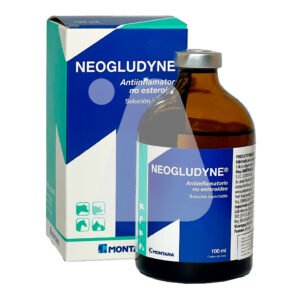 Neogludyne