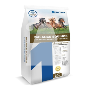 Sal Balance Equinos